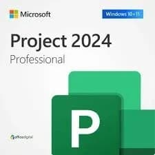 Project Profesional 2024
