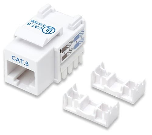 Ficha Jack Rj45 Cat6 Intellinet Hembra Blanco