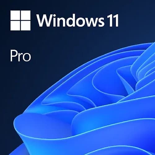 Windows 11 Pro 1 Licencia Esd 64-Bit